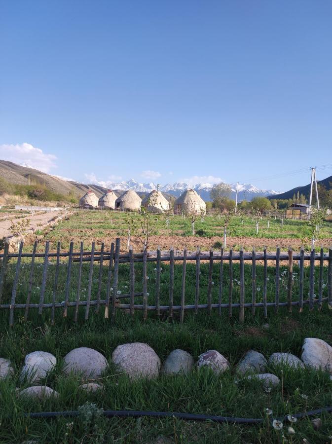 Eco Village Lodge Dzhetyoguz エクステリア 写真