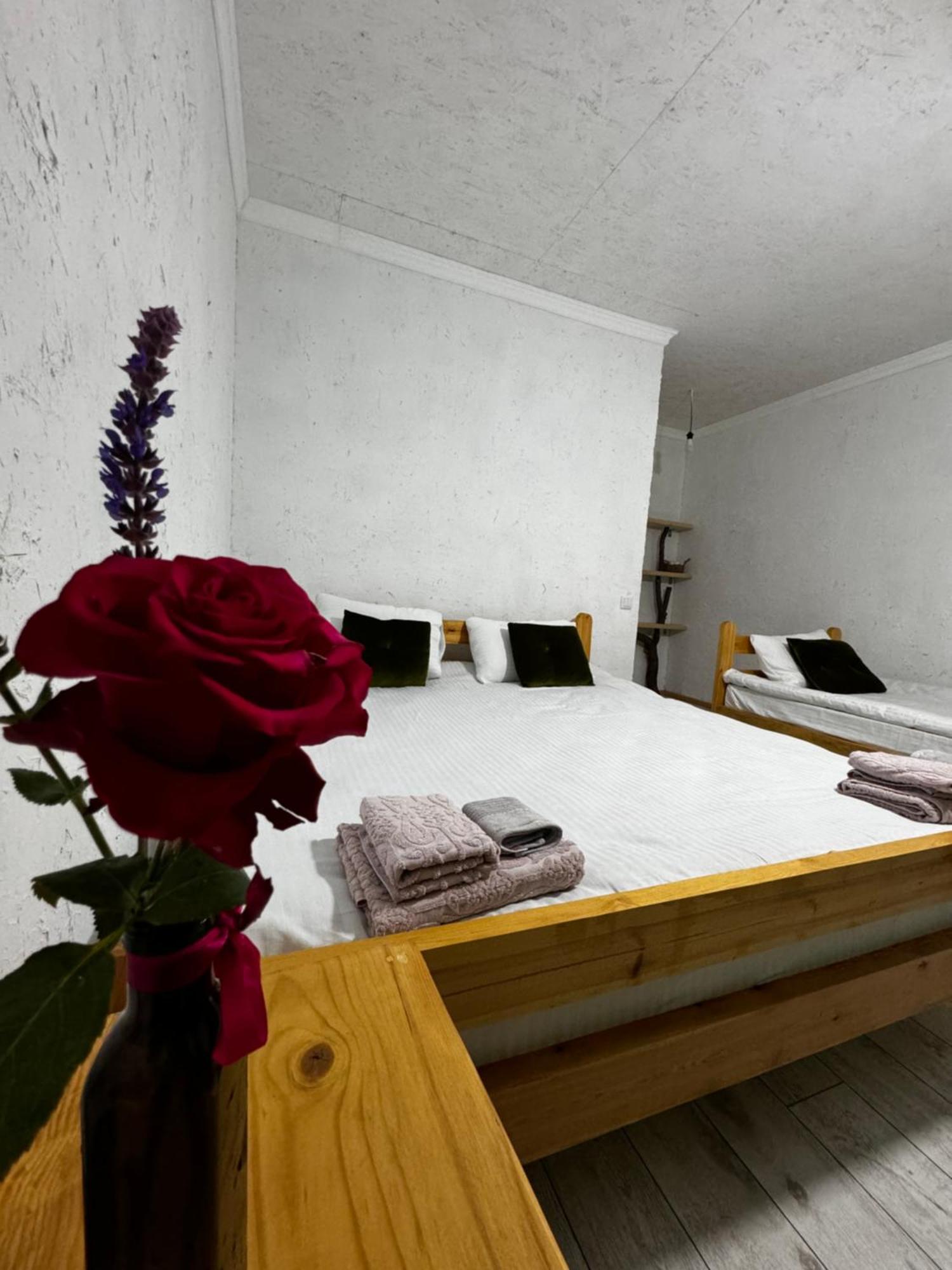 Eco Village Lodge Dzhetyoguz エクステリア 写真